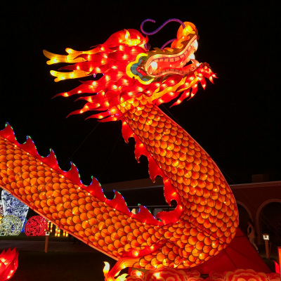 Celebrating Chinese New Year: The Year of the Dragon